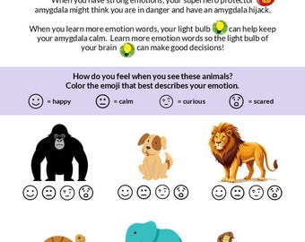 Emotions Workbook for PreK/K: Emotional Intelligence Activities