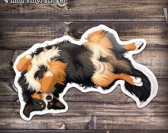 Sticker: Belly Flop Berner | Bernese Mountain Dog Vinyl Sticker