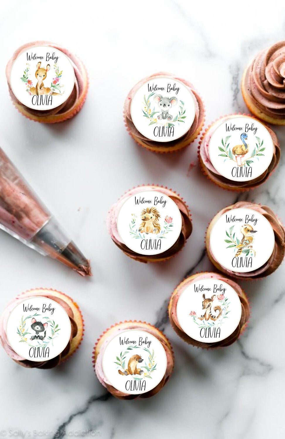 Edible Australian Animal Cupcake Toppers Cupcake Toppers Etsy Australia