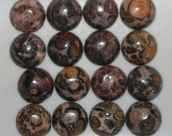 Leopard Skin Jasper 10mm Round Cabochon Loose Gemstones