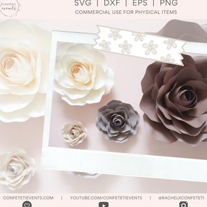 Paper Flower SVG - Paper Flower SVG Bundle - Paper Flower Template Bundle - Paper Flower SVG for Cricut - 4 Sizes - **Liana Rose**