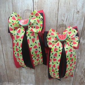 Equestrian Horse Show Hair Bows - Watermelon Seed Bows - Summer Bows - Show Bows