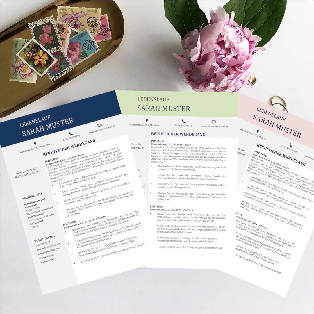 Professional Application Template in Three Colors, Template CV (2 Pages ...