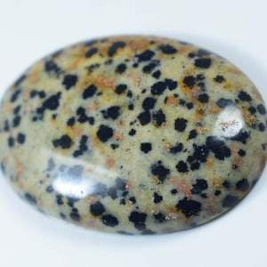 Dalmatian Cabochon AAA Dalmation Puffy Oval 53Cts 39x28x5mm #508 Dalmatian Oval Polished Natural Oval Crystal Dalmatian Stone