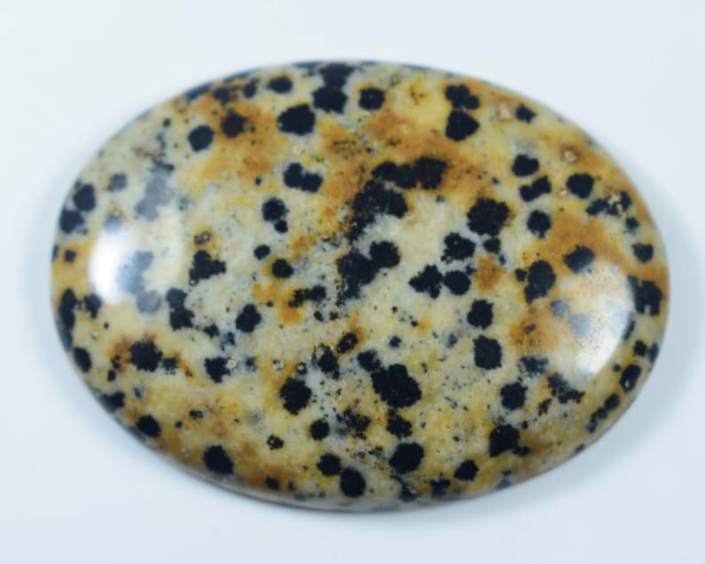 Dalmatian Cabochon AAA Dalmation Puffy Oval 53Cts 39x28x5mm #508 Dalmatian Oval Polished Natural Oval Crystal Dalmatian Stone