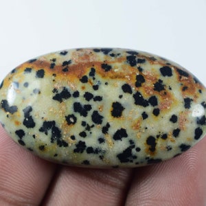Dalmatian Cabochon AAA Dalmation Puffy Oval 53Cts 39x28x5mm #508 Dalmatian Oval Polished Natural Oval Crystal Dalmatian Stone
