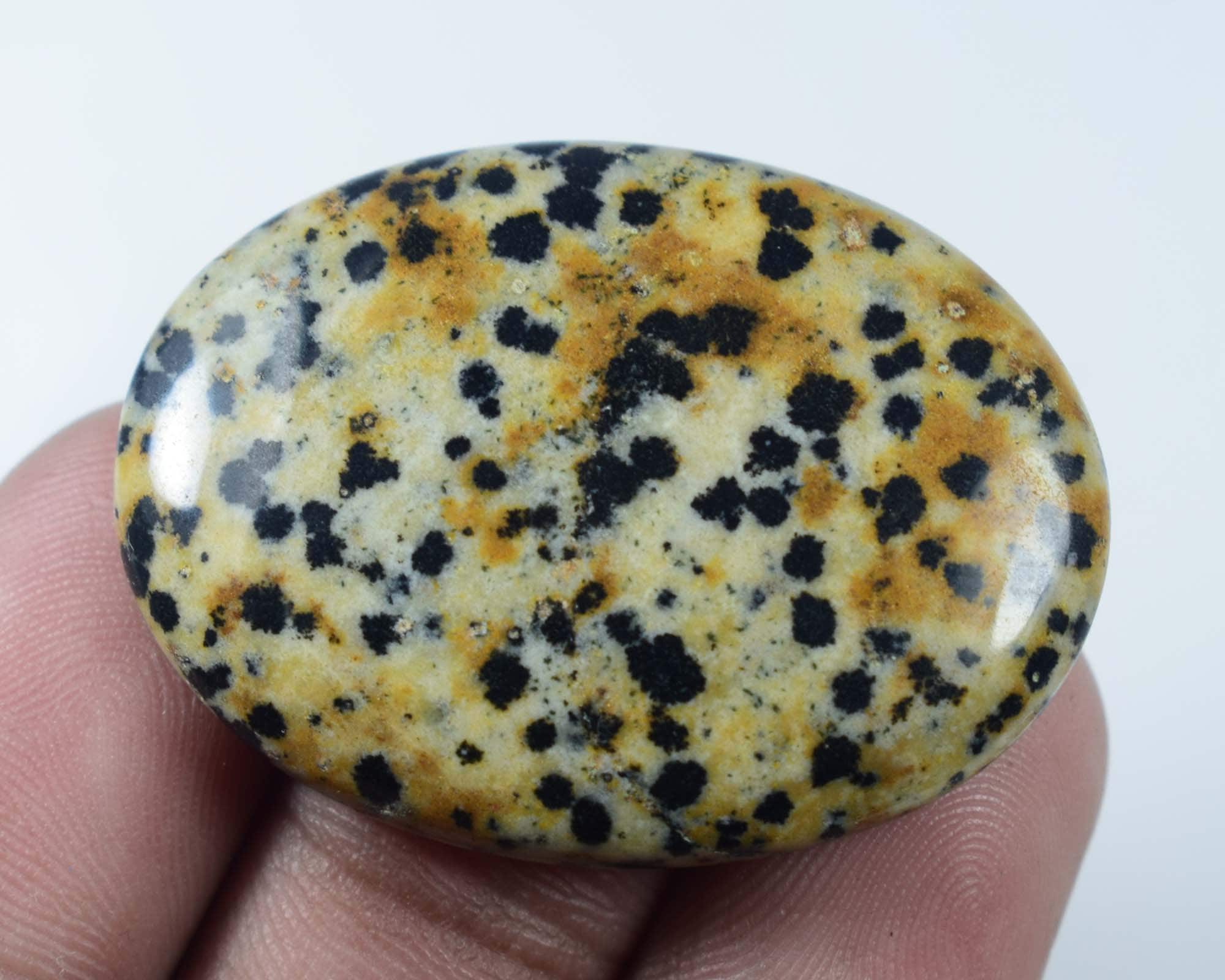 Dalmatian Cabochon AAA Dalmation Puffy Oval 53Cts 39x28x5mm #508 Dalmatian Oval Polished Natural Oval Crystal Dalmatian Stone