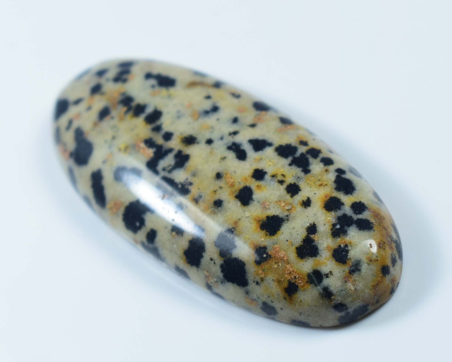 Natural Oval Crystal Dalmatian Stone Dalmatian Oval Etsy