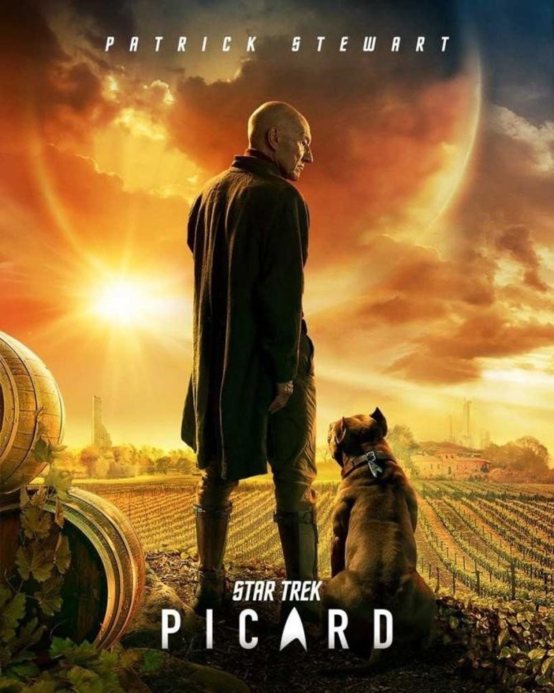 Hasil gambar untuk Star Trek: Picard poster