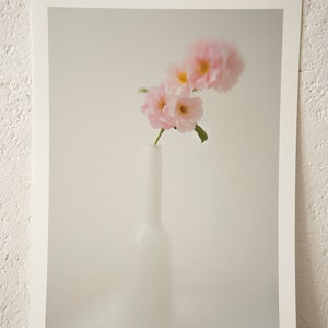 STILL LIFE? (Roses de Porcelaine) - A3 photo print - grand tirage photo - porcelain roses wall art
