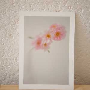 nature morte? (Roses Froufrou) - Tirage photo A6 - mini-papier - format carte postale