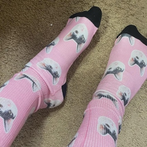 Pink custom pet face socks worn on feet with black toe and heel