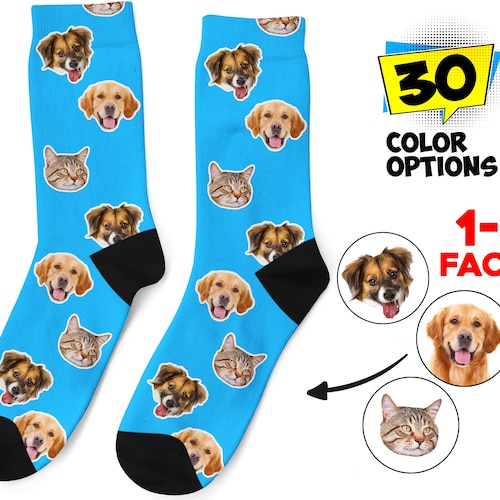 What Are The Best Dog Socks