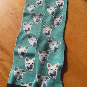 Green custom dog face socks with repeated pet photo print