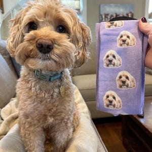 Dog next to purple personalized socks with custom pet photo print