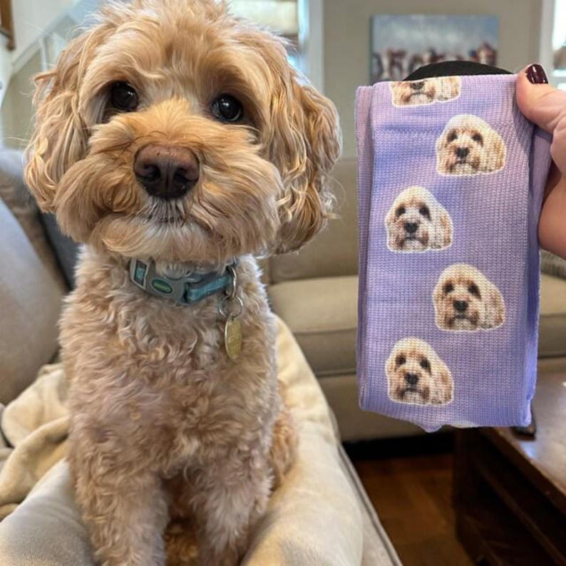 Dog next to purple personalized socks with custom pet photo print