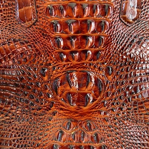Large Brahmin Purse Hand Bag w/ Removeable Crossbody Strap, Brown Leather, Crocodile Skin Texture Embossed Leather, NWOT Designer Fashion image 8