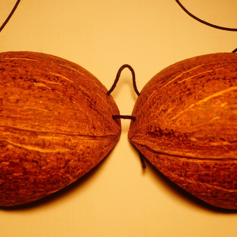 All Natural Sexy Mango Coconut Shell Bikini Top Beachwear Etsy