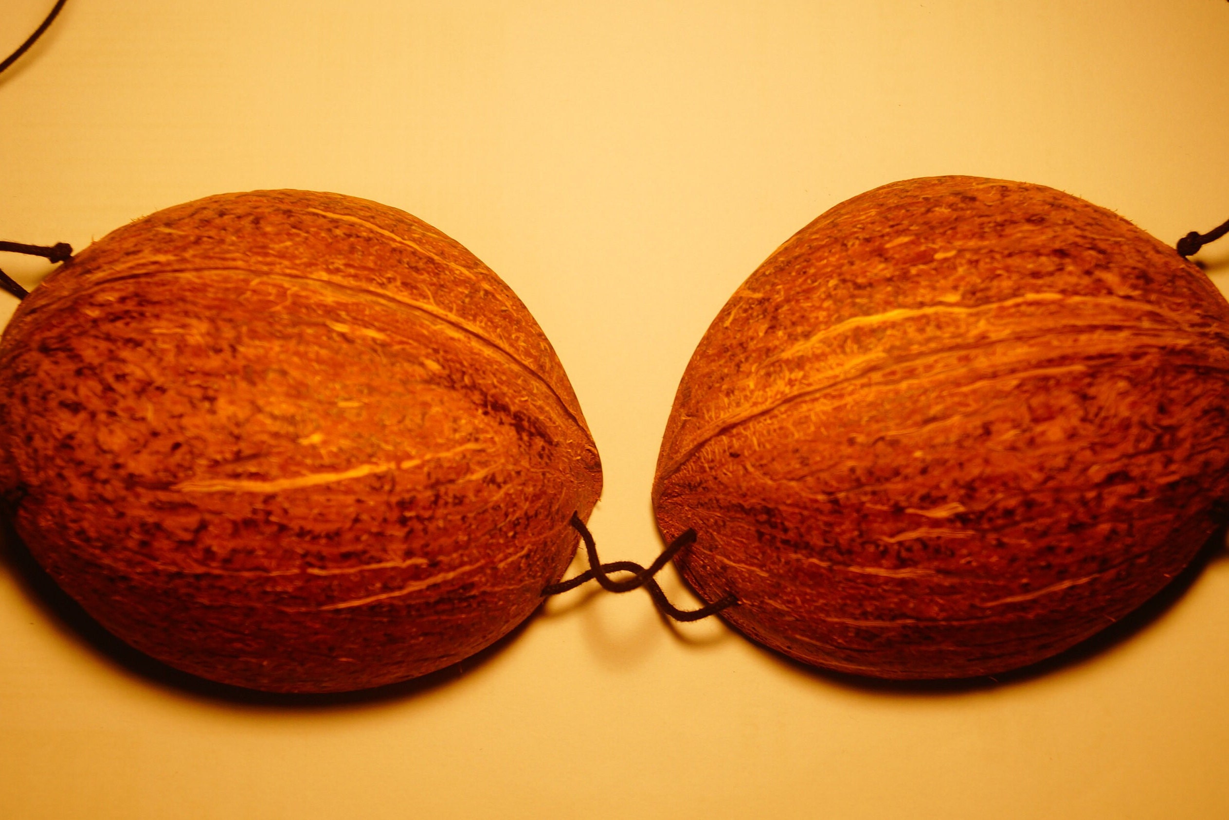 All Natural Sexy Mango Coconut Shell Bikini Top Beachwear Etsy