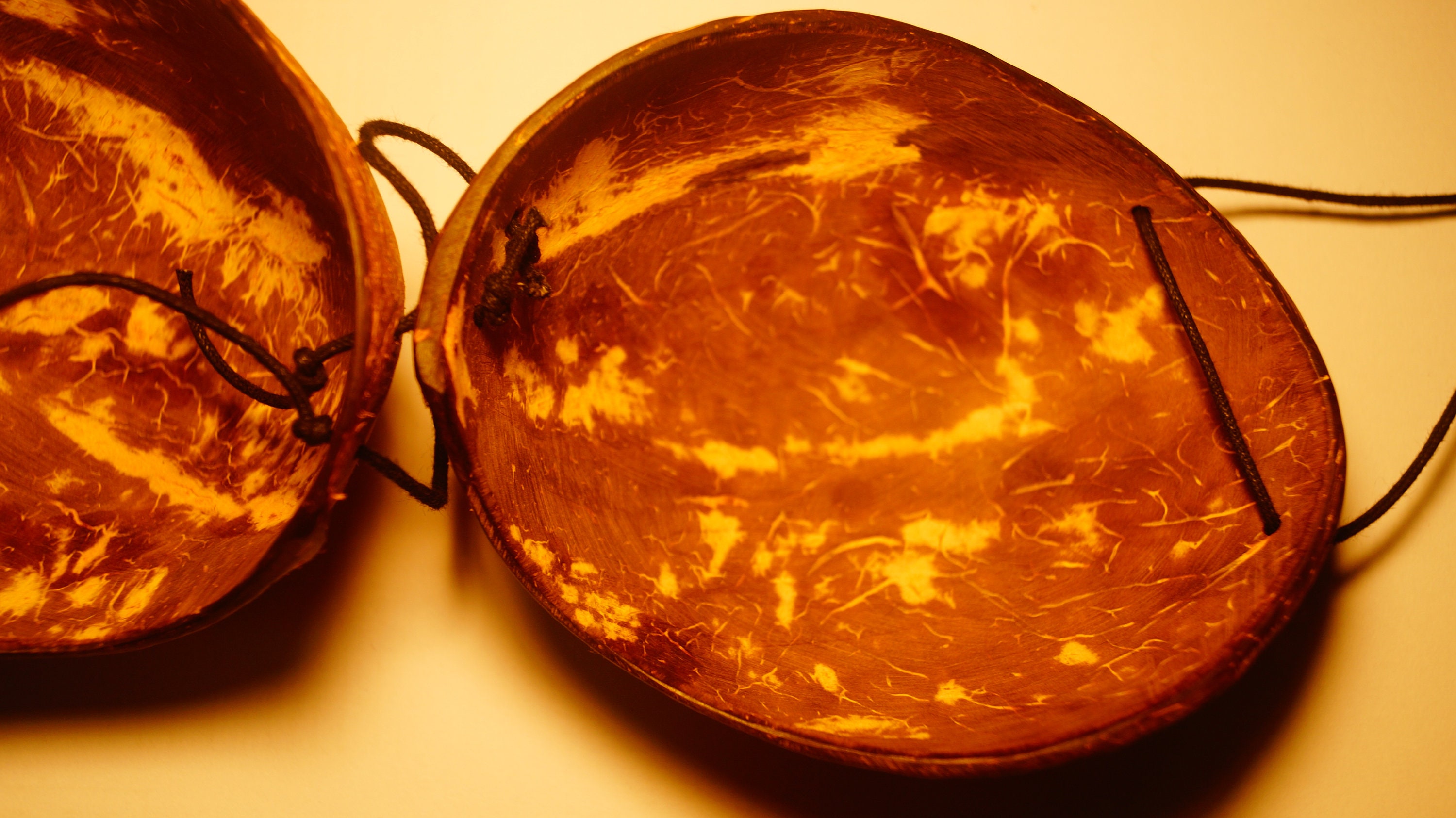 All Natural Sexy Mango Coconut Shell Bikini Top Beachwear Etsy