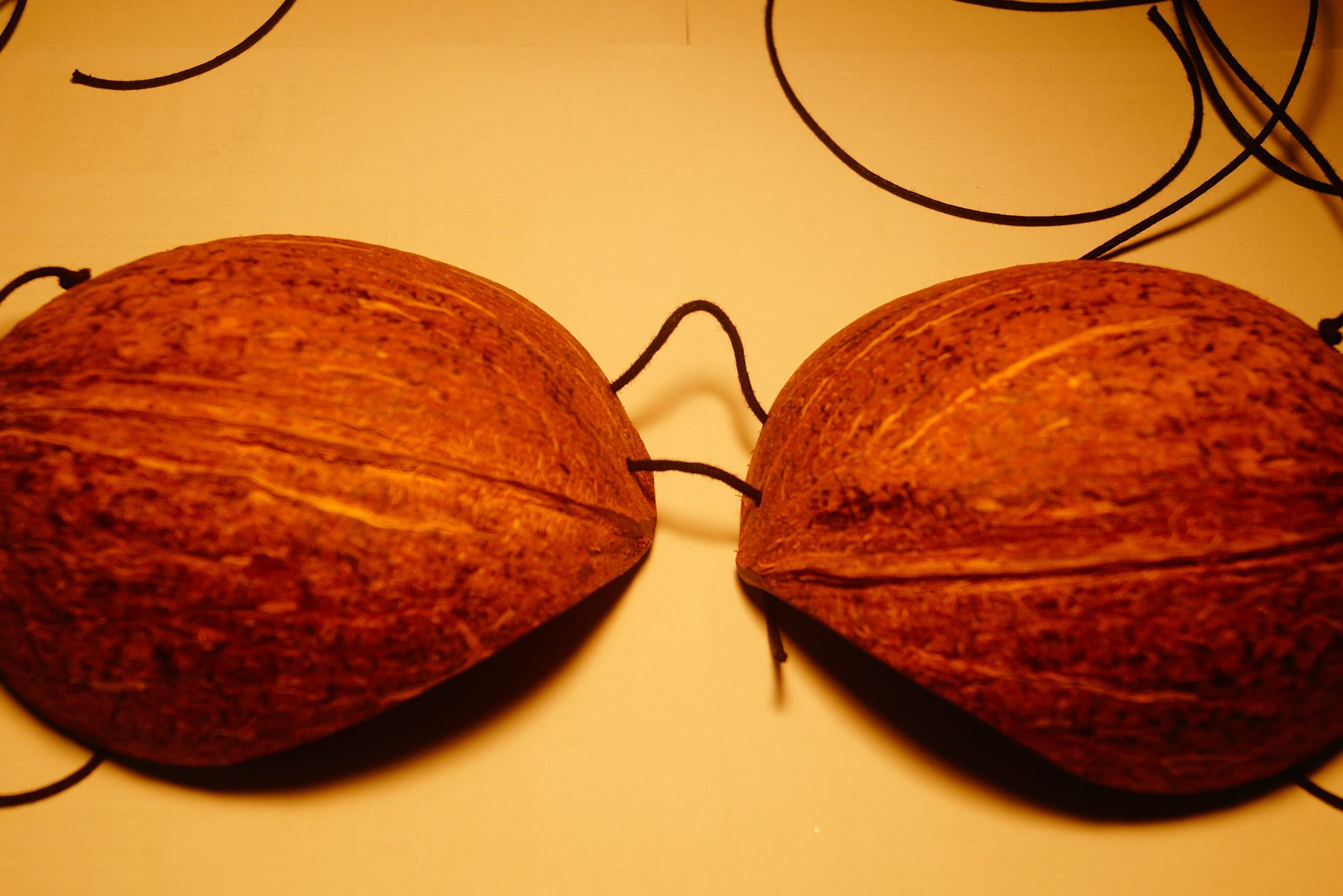 All Natural Sexy Mango Coconut Shell Bikini Top Beachwear Etsy