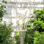 Wood Fencing