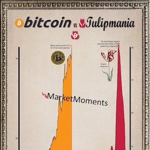 The Bitcoin vs Tulipmania ART PRINT - Wall Street art, stock market art, Wall Street poster, stock market poster, Wall Street gift