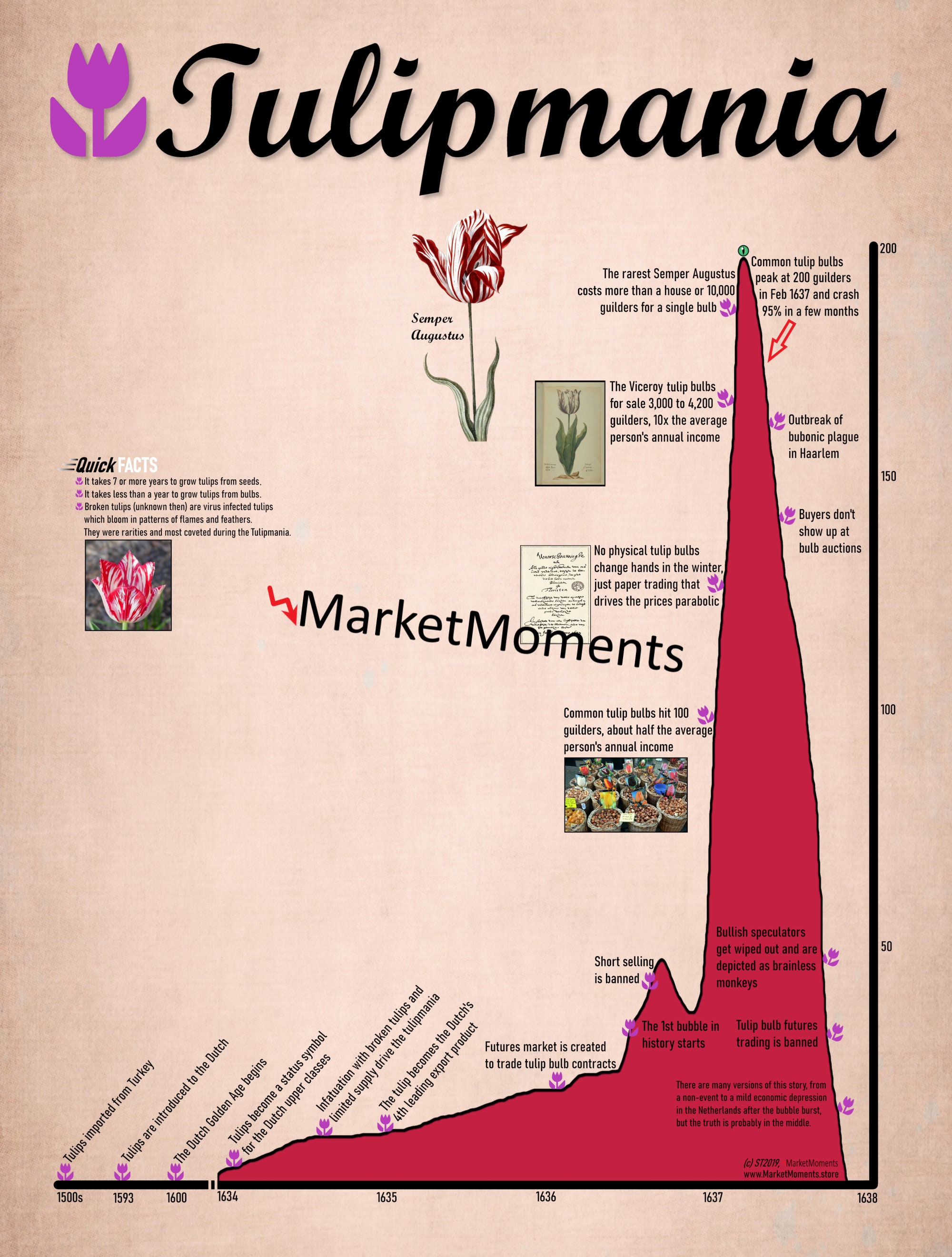 1637 チューリップ狂騒曲のアートプリント、チューリップ狂騒曲のポスター、ウォール ストリート アート、株式市場アート、ウォール ストリート  ポスター、株式市場ポスター、オランダ語、オランダ - Etsy 日本