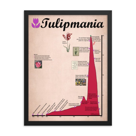 【即納&大特価】 1637 未開封品 Tulipmania - 人生ゲーム