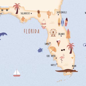 Cartolina Florida, confezione da 5 cartoline A6, mappa illustrata della Florida