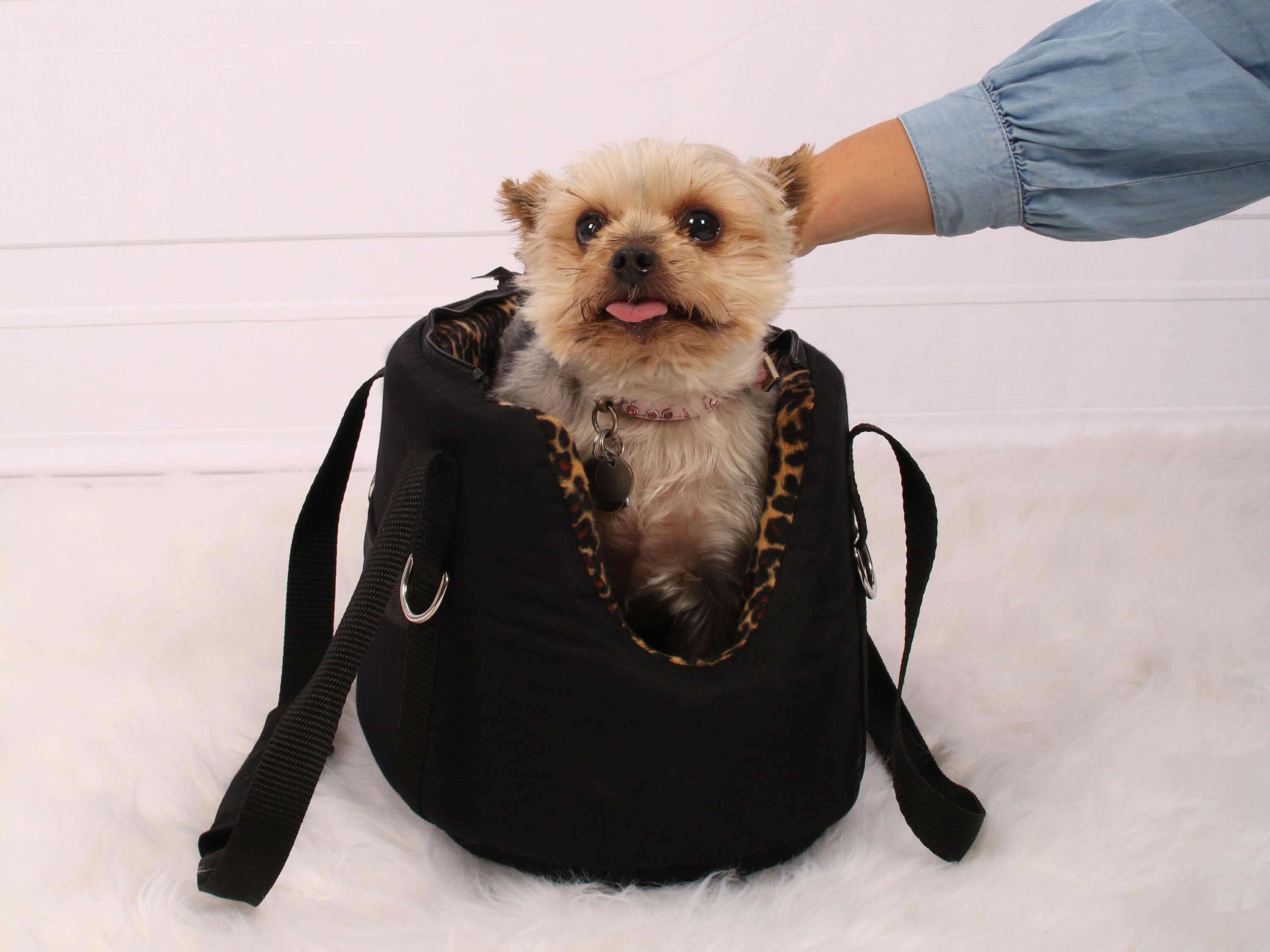 Small Dog Carrier Small Breeds Teacup Dogs or Puppies. Etsy