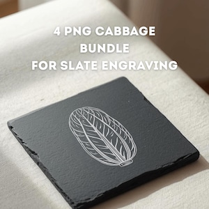 May include: A square, black slate coaster with a white cabbage illustration. The text "4 PNG Cabbage Bundle For Slate Engraving" and "Digital Download" are also visible in the image.