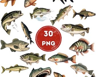 Lot de cliparts poisson | 30 illustrations PNG pour sublimation (téléchargement numérique)