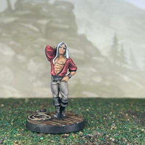 Dark Elf man of the night, Bard - Painted miniature - D&D - Frostgrave - Pathfinder - RPG