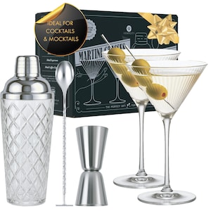 Silver Cocktail Shaker Set: Glass Shaker, Martini Glasses, Bar Tools