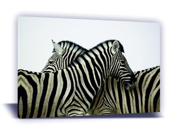 Zebra Canvas Print: Black and White African Wildlife Photo, Safari Wall Art