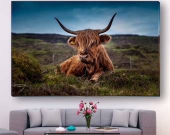 Highland Cow Canvas Print: Scottish Cattle Photo, Modern Wall Art