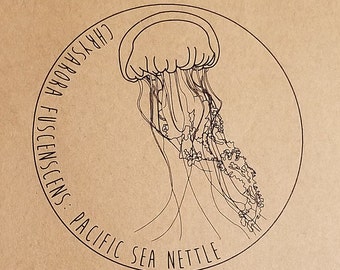 Jellyfish Embroidery Patch Kit