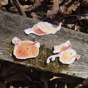 Moss Ball Sticker