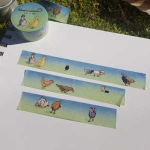 Washi au poulet