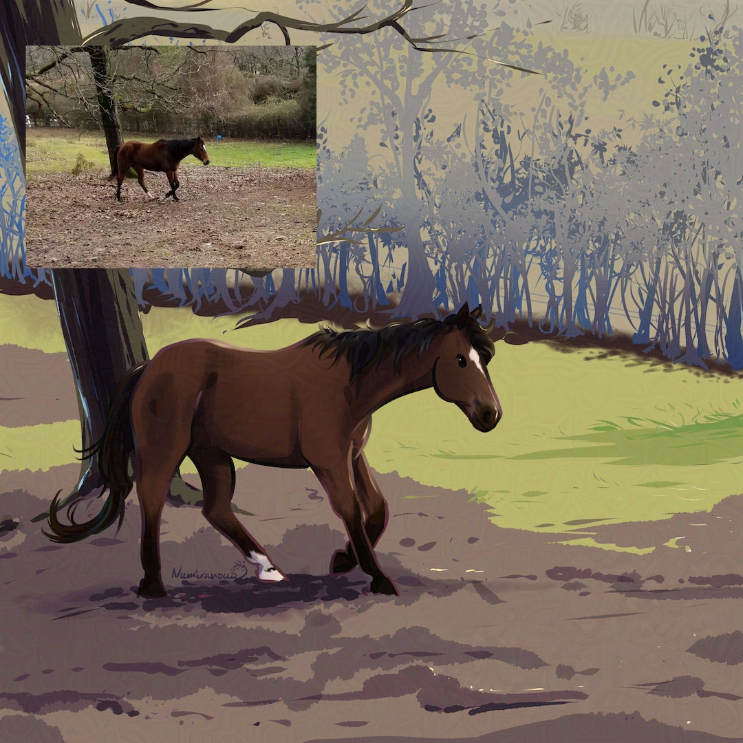 Horse Commission, Digital Art - Etsy