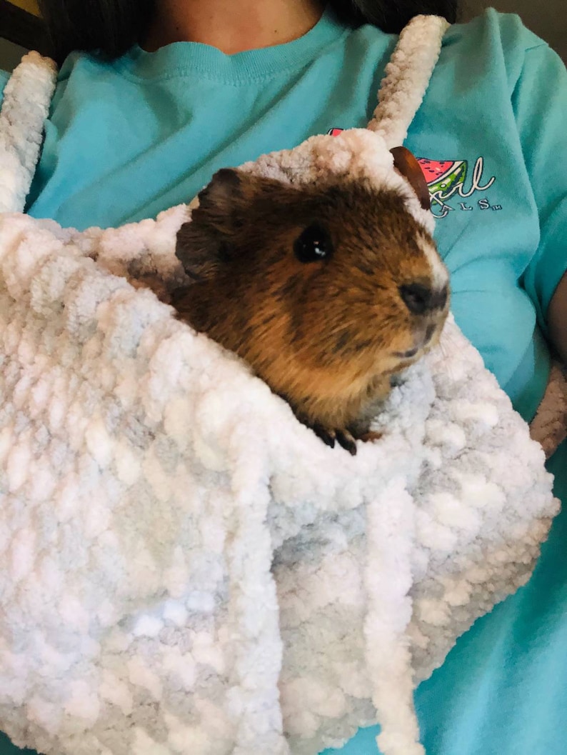 Small Pet Pouch/Guinea Pig Carrier Etsy