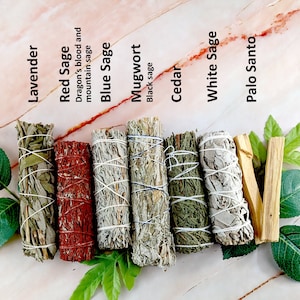 Smudge kit with white sage, red sage, lavender, cedar, mugwort, blue sage, yerba santa, palo santo, desert sage and more image 1