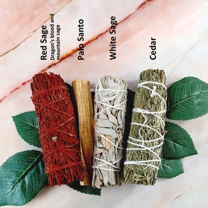 Smudge kit with white sage, red sage, cedar and palo santo, #20955