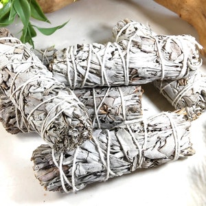 White sage smudge stick, 4 - 5&quot; long #20085