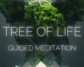 Tree of Life Manifesting Your Dream Life Guided Meditation with Innate Activation Instant Download Audio