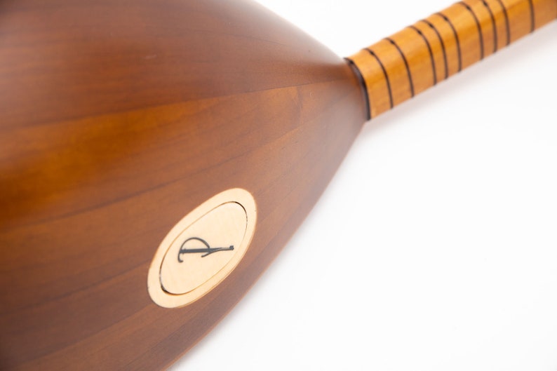 May include: Close-up of a wooden stringed instrument, likely a long-necked lute. The instrument has a dark brown body with a light brown neck and a decorative gold-colored emblem. The wood grain is visible, and the instrument appears to be well-crafted.