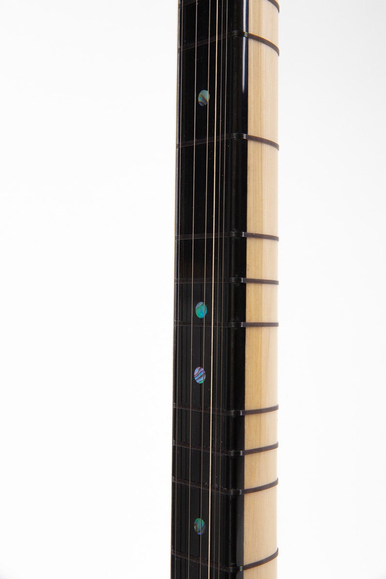 May include: Close-up of the fretboard of a musical instrument. The fretboard is made of wood and has a black finish. There are multiple strings running along the fretboard. The fretboard has several inlaid dots made of abalone shell.