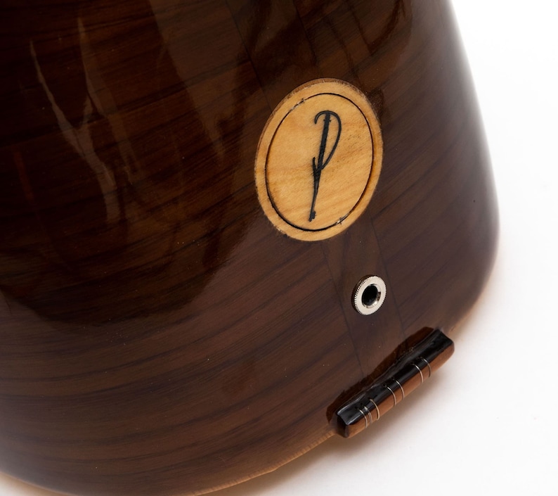 May include: Close-up of a dark brown wooden musical instrument with a circular inlay featuring the letter "P".