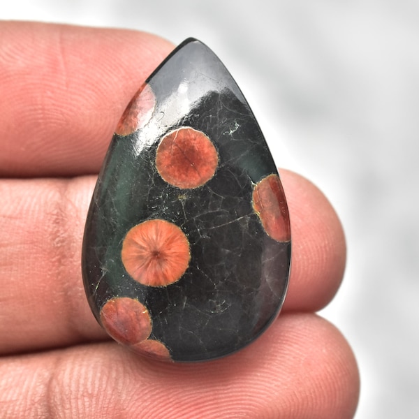 Cabochon d'arachide et d'obsidienne naturelle / Pierre précieuse d'arachide et d'obsidienne / Pour bijoux / Forme de poire / 25,65 Ct. / 32x20x6 / Pierre précieuse en vrac J-520